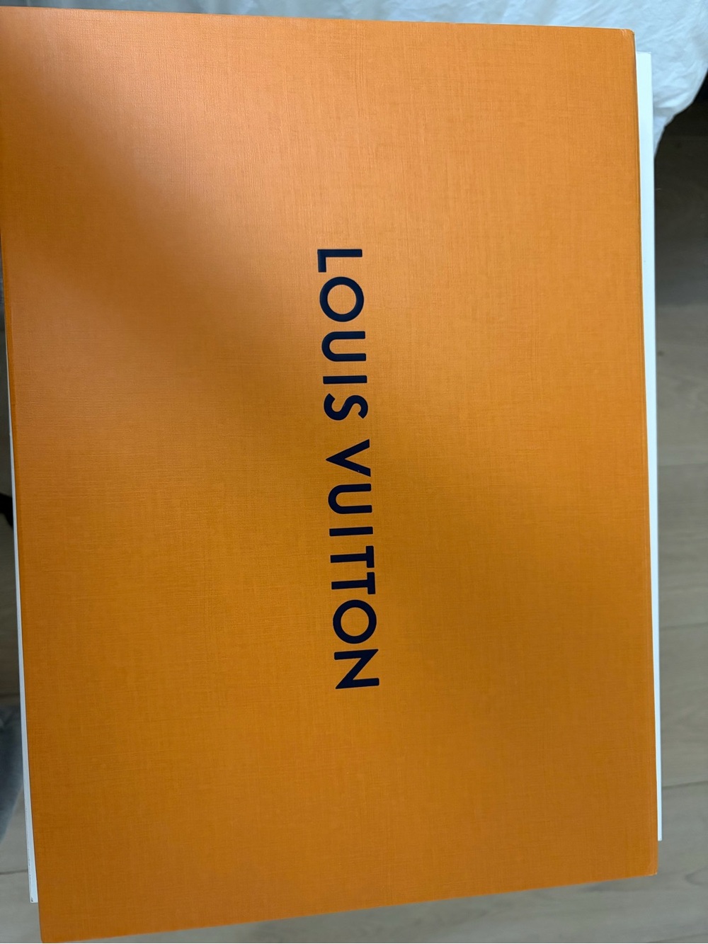 Louis Vuitton large storage box